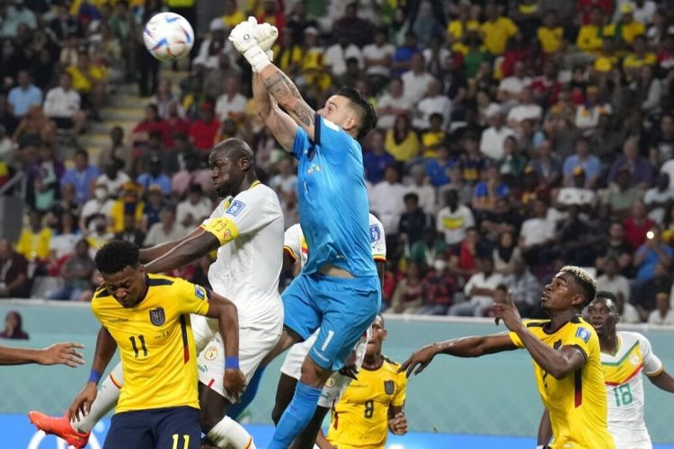 Ekuador vs Senegal - Sky Sports